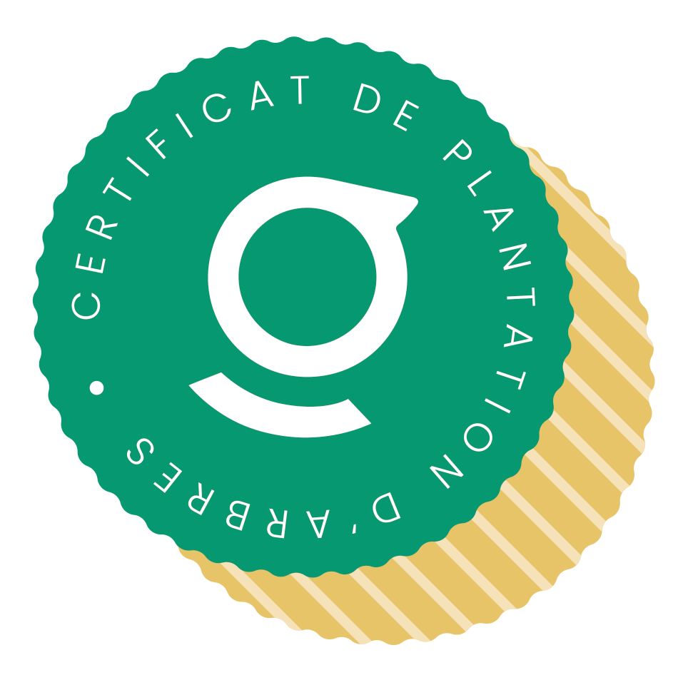 certificat smart goodies
