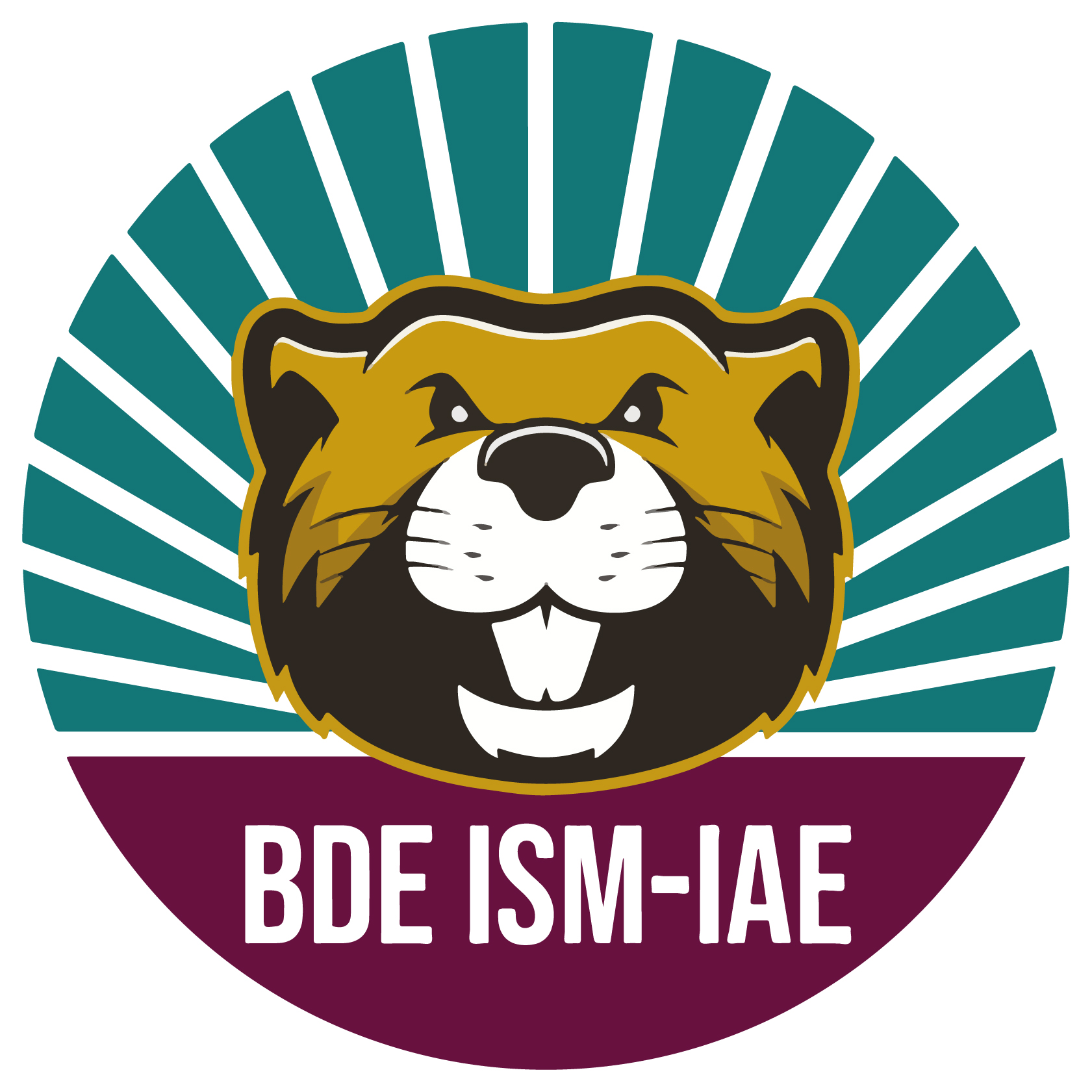 logo BDE ISM-IAE